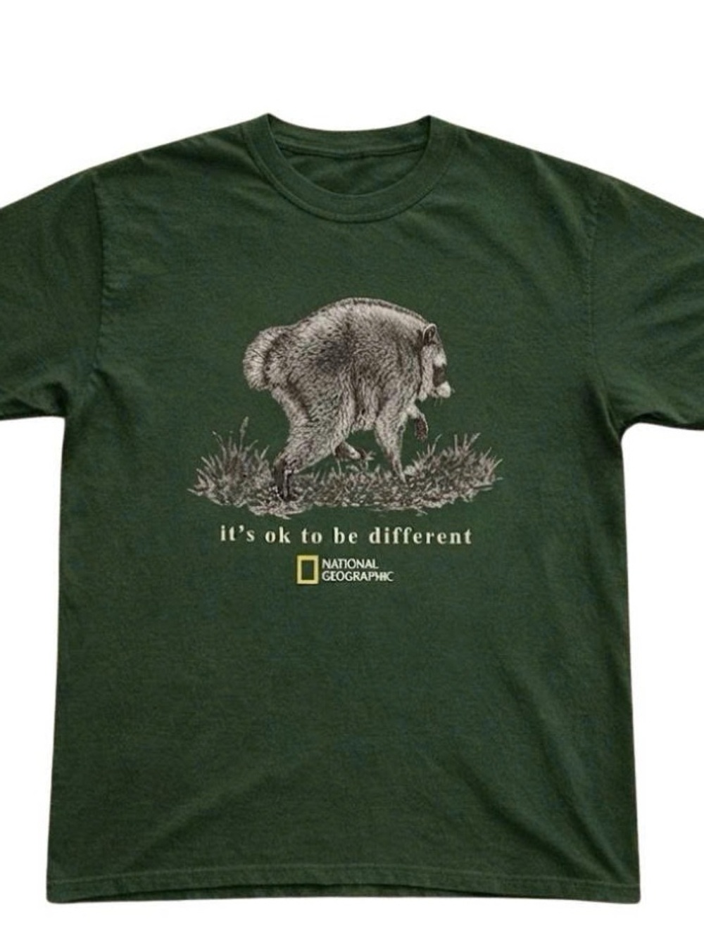 National Geographic Forest Green Raccoon Graphic Tee